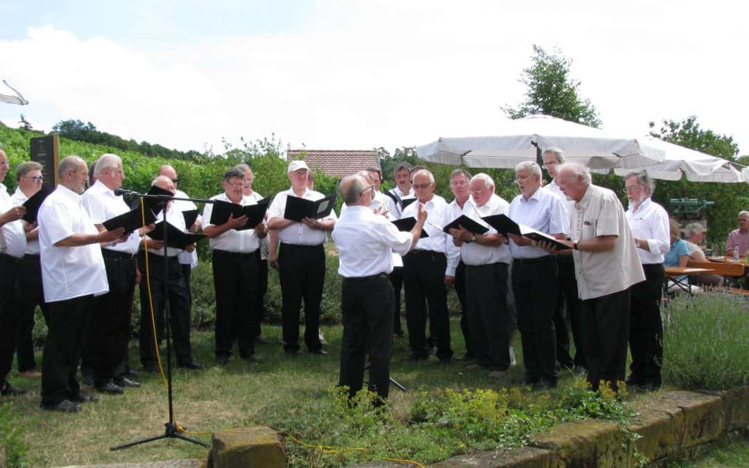 Gesangverein Frohsinn Ipsheim beim Singen im Weinberg - eigene Liederstaffel